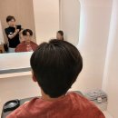 휴먼가발