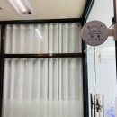 보들 반려견 미용실 이미지