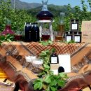 엘림농원 이미지