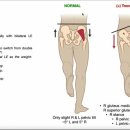 바디밸런스3.0 이미지