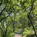 늘푸른계곡 이미지