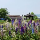 장미셀프주유소 이미지