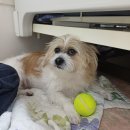 인생학교_중국영웅 8인 | 월간 일기 - 2026년 2월