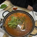 23살의 빈둥대는 일상