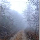 계정1리마을회관 이미지