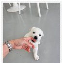 아이조아요양호텔 이미지