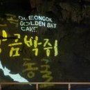천곡황금박쥐동굴 이미지