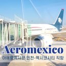 기내 영어 안내방송 | 아에로멕시코 인천-멕시코시티 비행 후기 경유방법