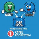 ▣ 김용태: DSP POOL 기술적 구조 이미지