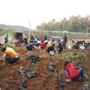 모전마을회관 이미지