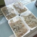 용호시장 | 포항 죽도시장회맛집 용호횟집 푸짐한 회 포장 내돈내산 솔직후기