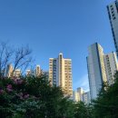 석우초교 | 동탄1동 임장 후기