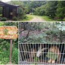 원주굽이길 3코스 회촌달맞이길 이미지