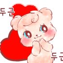 신데렐라뷰티샵 네이버블로그