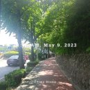 용산구 임장 재개발 한남 2, 3, 4,5 구역, 신동아 등