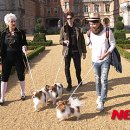 스타트레블 이미지