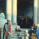 베드로농장 이미지