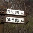 세고개로 Daum카페