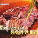 오리한마리 이미지