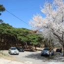 기룡산 등산로2 이미지