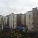 사랑으로 이미지