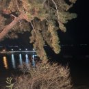 순애민박 | 사천굴구이의 진수를 경험할 수 있는 순애민박굴구이식당