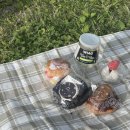 지윤농장 | [Daily 2025] 2025년 몰아보기