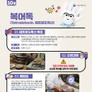 식중독 주의정보알림(2026년 10월) 이미지