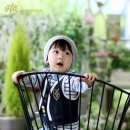 레몬트리 이미지