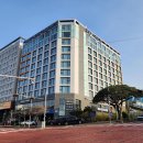 제주 서귀포에서 만나는 쉼표, 골드원 호텔 앤 스위트에서의 특별한 시간