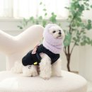안젤라펫 이미지