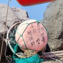 우도꼭지엄마해녀해산물