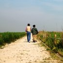 프로포즈 이미지