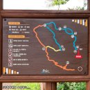 아름다운 숲길 화장실 이미지