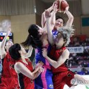 조수아 카카오 검색결과