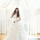 뉴피앙세 이미지