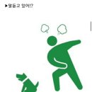 재미있는 픽토그램 이미지