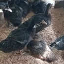 기정농장 이미지