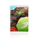 정 담은 집 이미지