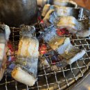 시크릿탑장어 이미지