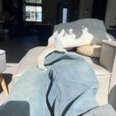 미래웰 생활건강 | 혈액순환안될때증상 손발 시려운 원인 알고 해결한 후기