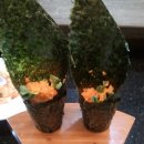 참치랑가재랑 이미지