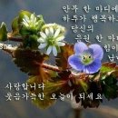 인부동산중개사무소 이미지