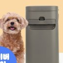 강아지 지니 이미지