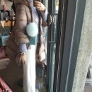 에드(Add) 이미지