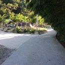 소백산오토캠핑장 이미지