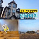 해변에서 펜션 | 강릉 가볼만한곳 | 애견동반 숙소 강문해변 근처 펜션 솔직후기 국내여행코스 강원도여행