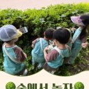 공립초록빛어린이집 네이버블로그