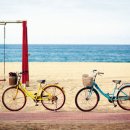 공지천인조잔디구장 이미지