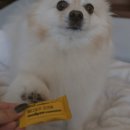 이도메디 이미지